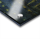 Vincent van Gogh   Starry Night Acrylic print