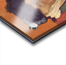 Vincent Willem van Gogh 106 Acrylic print