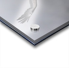 Eagle3 Acrylic print