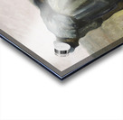 Vincent van Gogh   Peasant woman digging Acrylic print