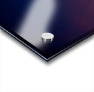 Lunatic Asylum Acrylic print