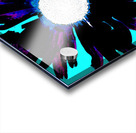 Daisy Flower on Vibrant Turquoise Background Acrylic print