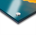 Leaning Tower Acrylic print