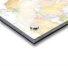 Faded Abstract Acer Autumnal Leaves Acrylic print