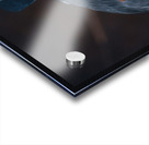 Great Blue Heron - Beak of Disapproval Acrylic print