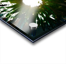 Daisy Light Centre on Darker Abstract Background Acrylic print