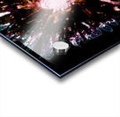 Dark Burgundy Daisy Flower on a Dark Abstract Background Acrylic print