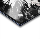 Abstract Monochrome Daisy Flower on an Abstract Monochrome Background Acrylic print