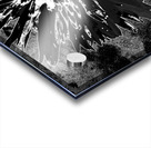 Darkly Monochrome Daisy Flower on a Dark Abstract Background Acrylic print