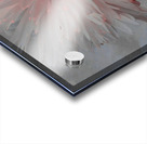 Pink Abstract Daisy Flower Centre on a Grey Abstract Background Acrylic print