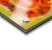 Illustration Of Tomato Acrylic print