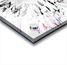 Paler Colour Splash Daisy Acrylic print