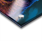 Tricolor Bison Acrylic print