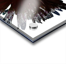 Dark Burgundy Distressed Daisy on  a Pale Abstract Background Acrylic print