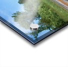 Somebody Seems Happy Acrylic print