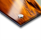 Showing Off Acrylic print