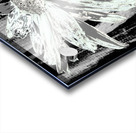  Paler Mint Distressed Daisy Flower on a Dark Abstract Background Acrylic print