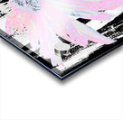  Abstract Pink Daisy Flower on an Abstract Black and White Background   Acrylic print