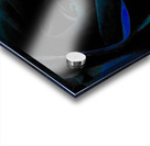 Abstract Dark Green Rose on a Monochrome Abstract Background Acrylic print