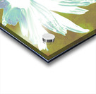 Abstract Minty Daisy Flower on an Abstract Fawn Background Acrylic print