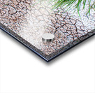 Parched Acrylic print