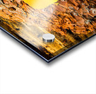 Aspen Leaves On Pine Bark Acrylic print