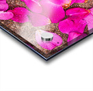 Fallen Petals Acrylic print