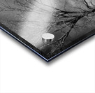 Spirit of the sky Acrylic print