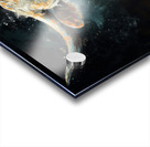 Longhorn Bull 1 Acrylic print