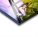 Vineyard and bridge Acrylic print