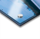 Flamingos in the Hula Valley Acrylic print