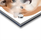 Akita Informative Poster Acrylic print