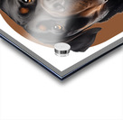 Rottweiler Informative Poster Acrylic print