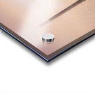 Pensacola Florida Pelican in Fog Acrylic print