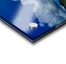 Malendure - Guadeloupe Acrylic print