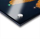 Thanjavur Brihadeeswarar Temple Night Capture  Temples of India Acrylic print