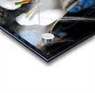 WORKING TOGETHER Acrylic print