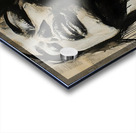 Stunning 1 JOVER style Acrylic print