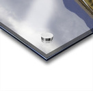 wild horses of mono county Acrylic print