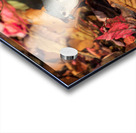 Tufted Titmouse in Autumn Foliage Acrylic print