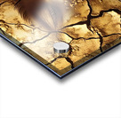 Cracked 1 Acrylic print