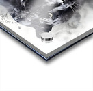 Cat Melanism 2 Acrylic print