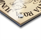 Vintage Santa Rosa Junior College Bear Cub Art Acrylic print