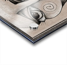 Eyes of Contrast Acrylic print