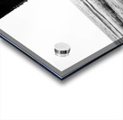 07_ SEA STRUCTURES_DOWN UNDER THE SANTA MONICA PIER VII Acrylic print