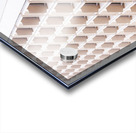 SCALES I Acrylic print