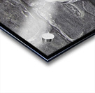 IMG 5539 Acrylic print