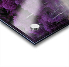 Purple Palette  Acrylic print