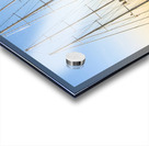 Tall Sailing Vessels in Newport Rhode Island Acrylic print