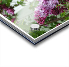LE BAIN DE LILAS Acrylic print